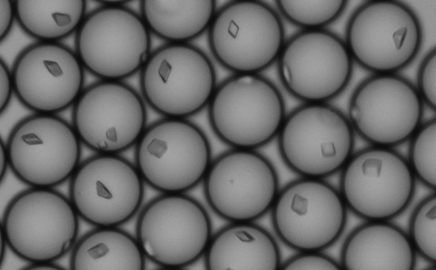 Microscopic crystals in droplets